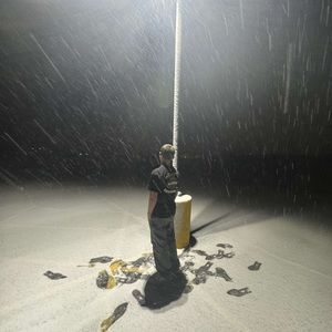 Meet your Posher, Scout